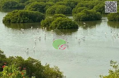 أرض - استوديو للبيع في ديستريكت 9 - الزورا - عجمان أرض - استوديو للبيع في ديستريكت 9 - الزورا - عجمان