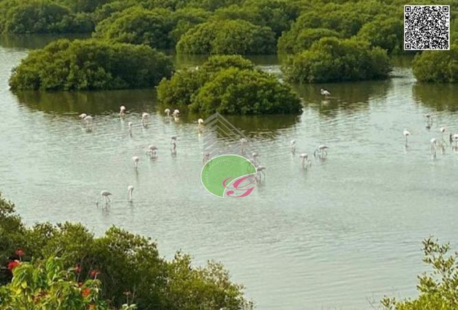 15501603 - الصورة الرئيسية للعقار