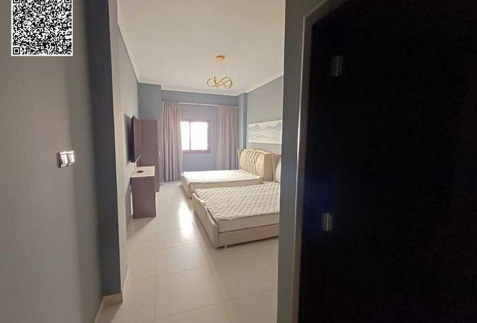 15552234 - Property Image 3