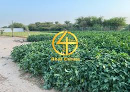 Farm for sale in Liwa - Abu Dhabi
