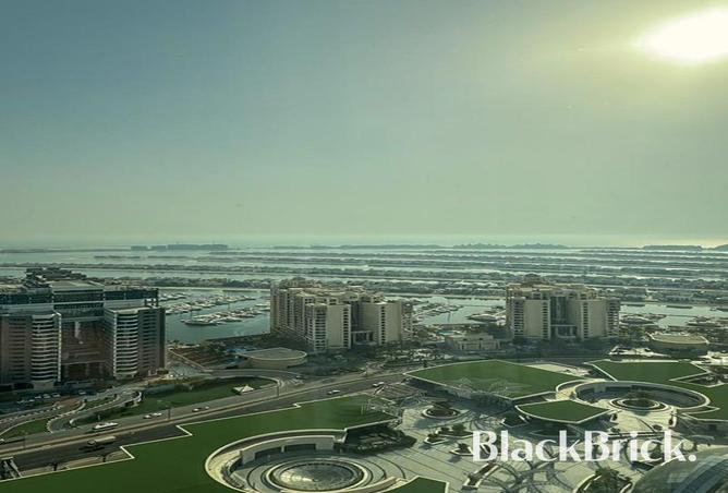 14564499 - Property Image 3