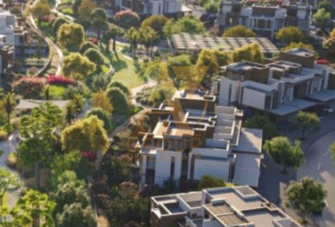 15556419 - Property Image 3