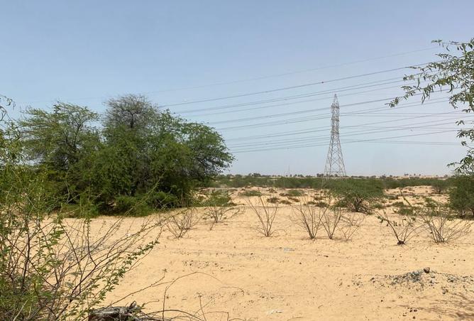 15533204 - صورة العقار 2