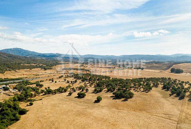 15501544 - صورة العقار 2