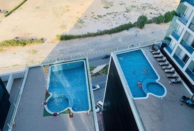 15271962 - Property Image 3