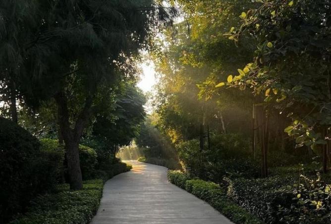 15474026 - صورة العقار 3
