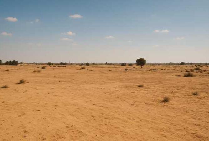 15635933 - Property Image 2