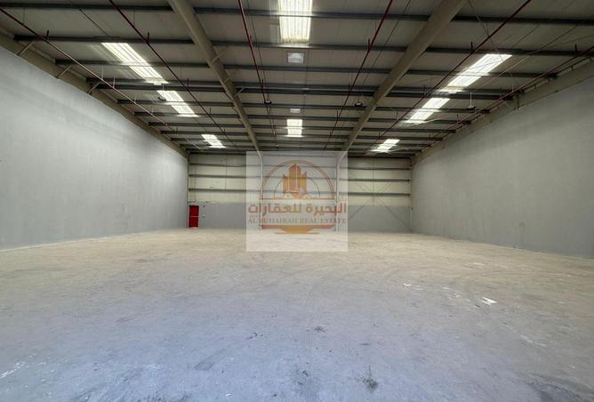 16060487 - صورة العقار 3