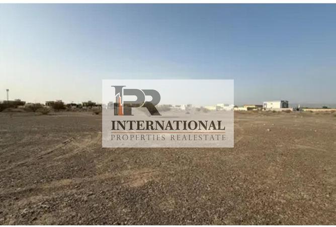 15451839 - Property Image 2