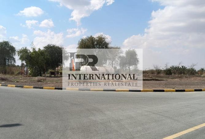 16087083 - Property Image 2