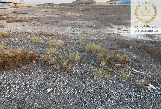 14969445 - Property Image 2