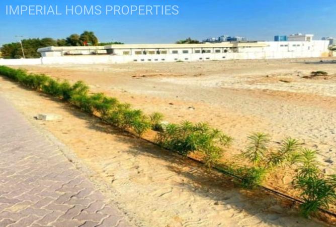 15891667 - صورة العقار 3