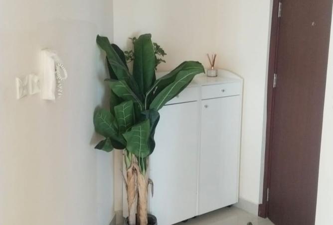 16105019 - صورة العقار 2