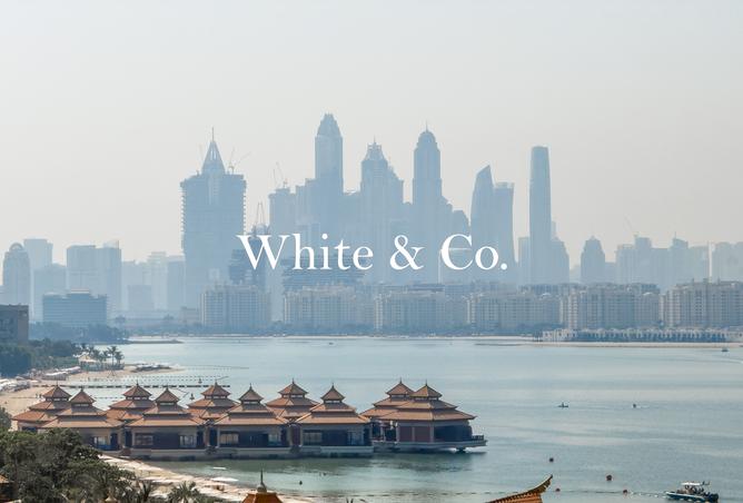 15996607 - الصورة الرئيسية للعقار