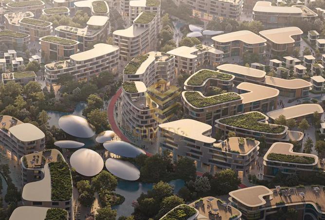 15504617 - Property Image 3