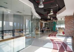 Large | Amazing Concept and Design | Amazing Price