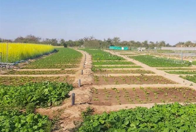 15694387 - Property Image 2