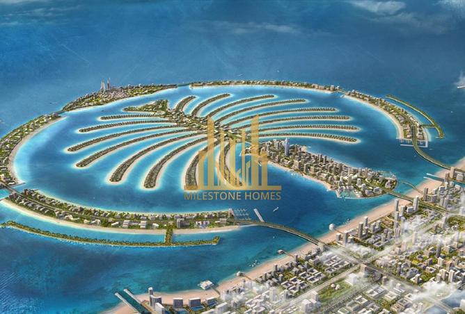 15957434 - صورة العقار 3