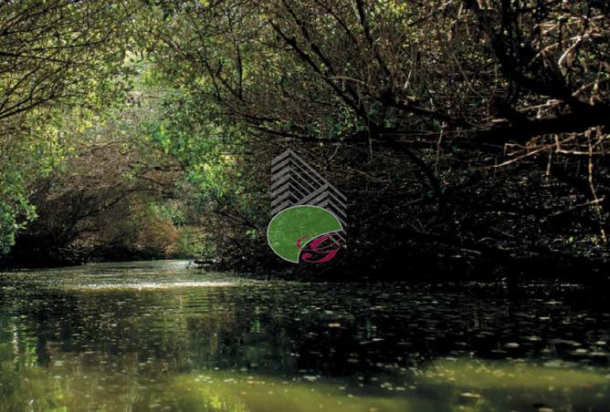 15432891 - صورة العقار 3