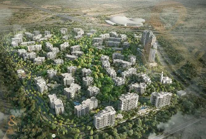 14916324 - Property Image 3