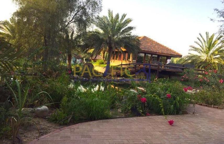 Farm for Sale in Al Khawaneej 1 Lovely and Beautiful I Farmhouse I