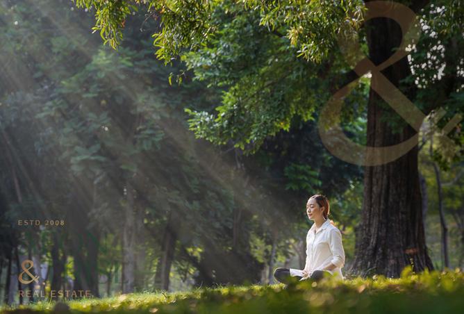 15095751 - صورة العقار 3