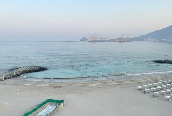 15790913 - Property Image 3