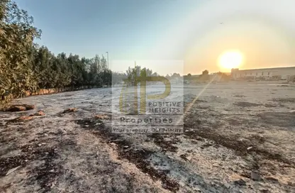 أرض - استوديو للايجار في جبل علي الصناعية - جبل علي - دبي