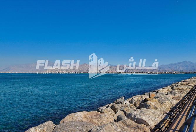 15406561 - الصورة الرئيسية للعقار