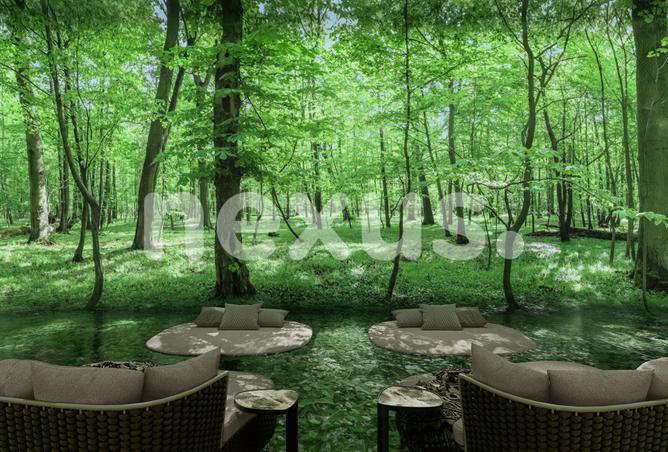 16067963 - Property Image 3