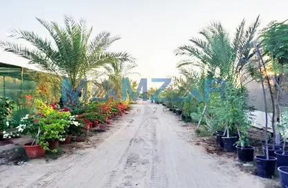 صورة لـ حديقة مزرعة - استوديو للبيع في السمحة - أبوظبي ، صورة رقم 1