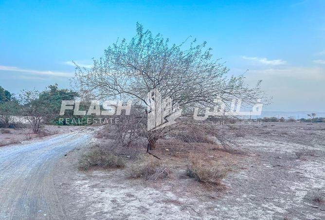 15149092 - صورة العقار 2