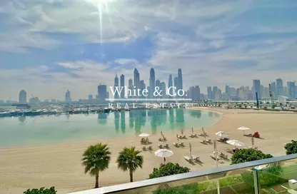 Apartment - 1 Bedroom - 1 Bathroom for rent in Sunrise Bay Podium - EMAAR Beachfront - Dubai Harbour - Dubai