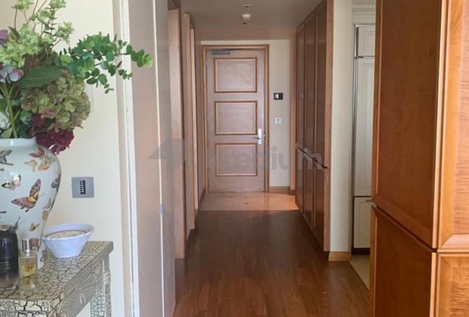 16019784 - Property Image 3