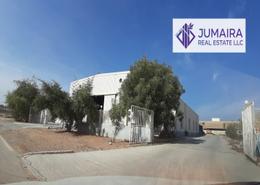 Warehouse - 4 bathrooms for sale in Technology Park - RAK FTZ - Ras Al Khaimah