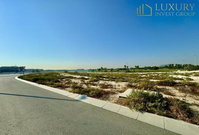 15496089 - Property Image 3