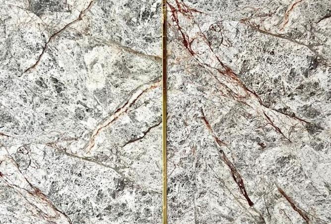 15571040 - Property Image 3