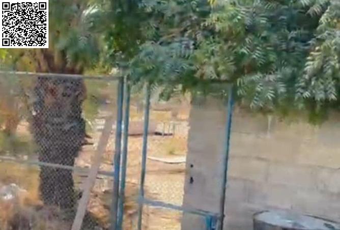 14793035 - صورة العقار 2