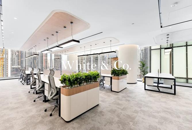 16055812 - Property Image 3