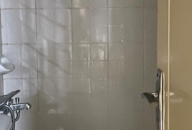 15463805 - Property Image 2
