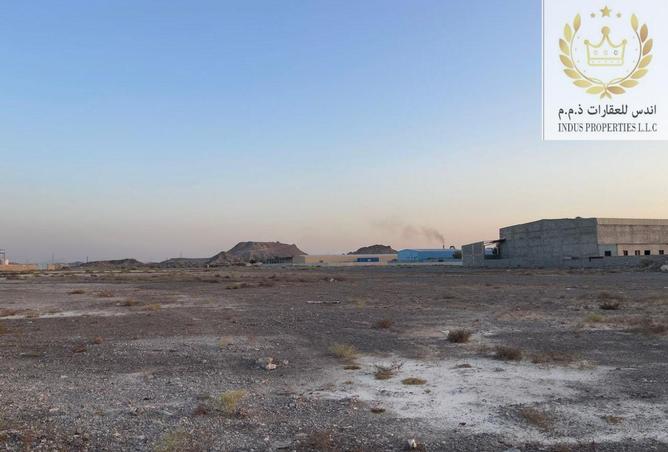 14969447 - Property Image 3