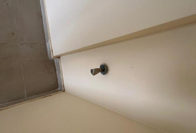 15972991 - Property Image 3