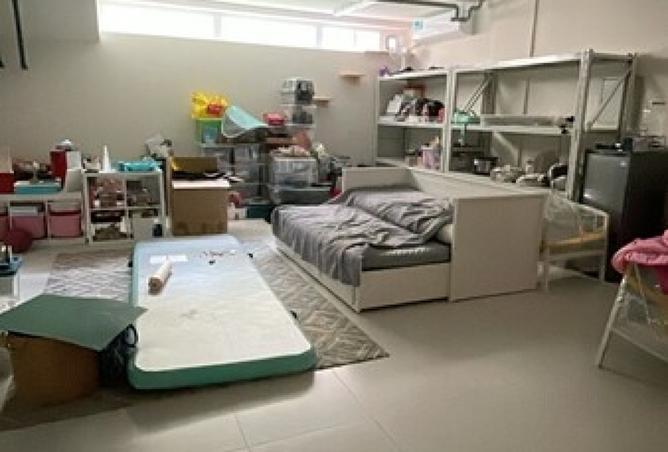 15161642 - Property Image 3