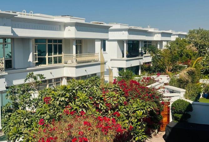 16006686 - صورة العقار 3