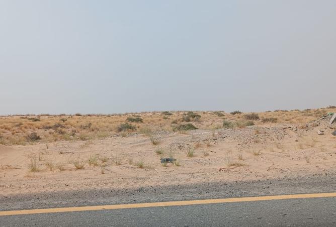 16059020 - صورة العقار 3