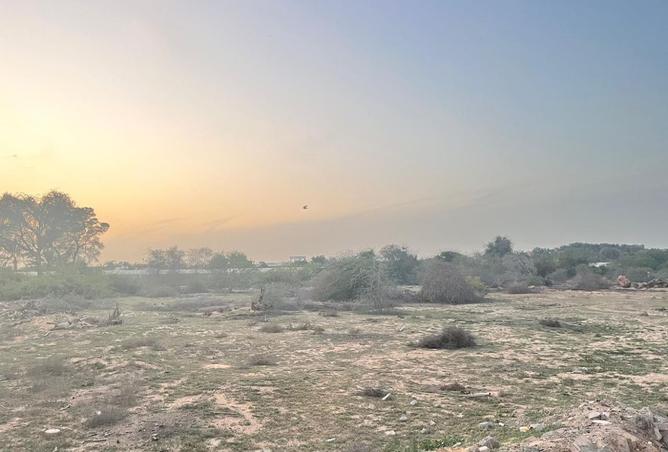 15953645 - Property Image 3