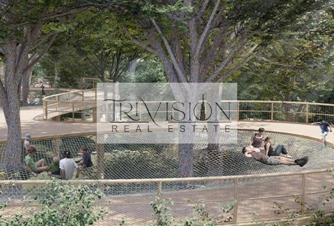 15484535 - Property Image 3