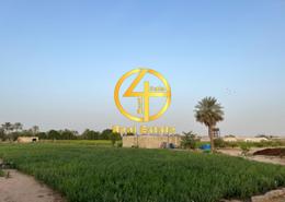 Farm - 1 bathroom for sale in Al Ajban - Abu Dhabi