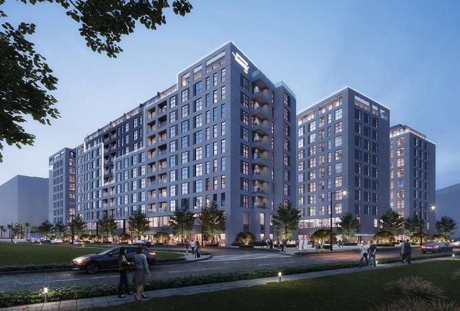 15508449 - Property Image 3