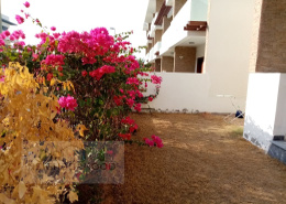 D- 4Bedroom Single Row Villa | Private Elevator